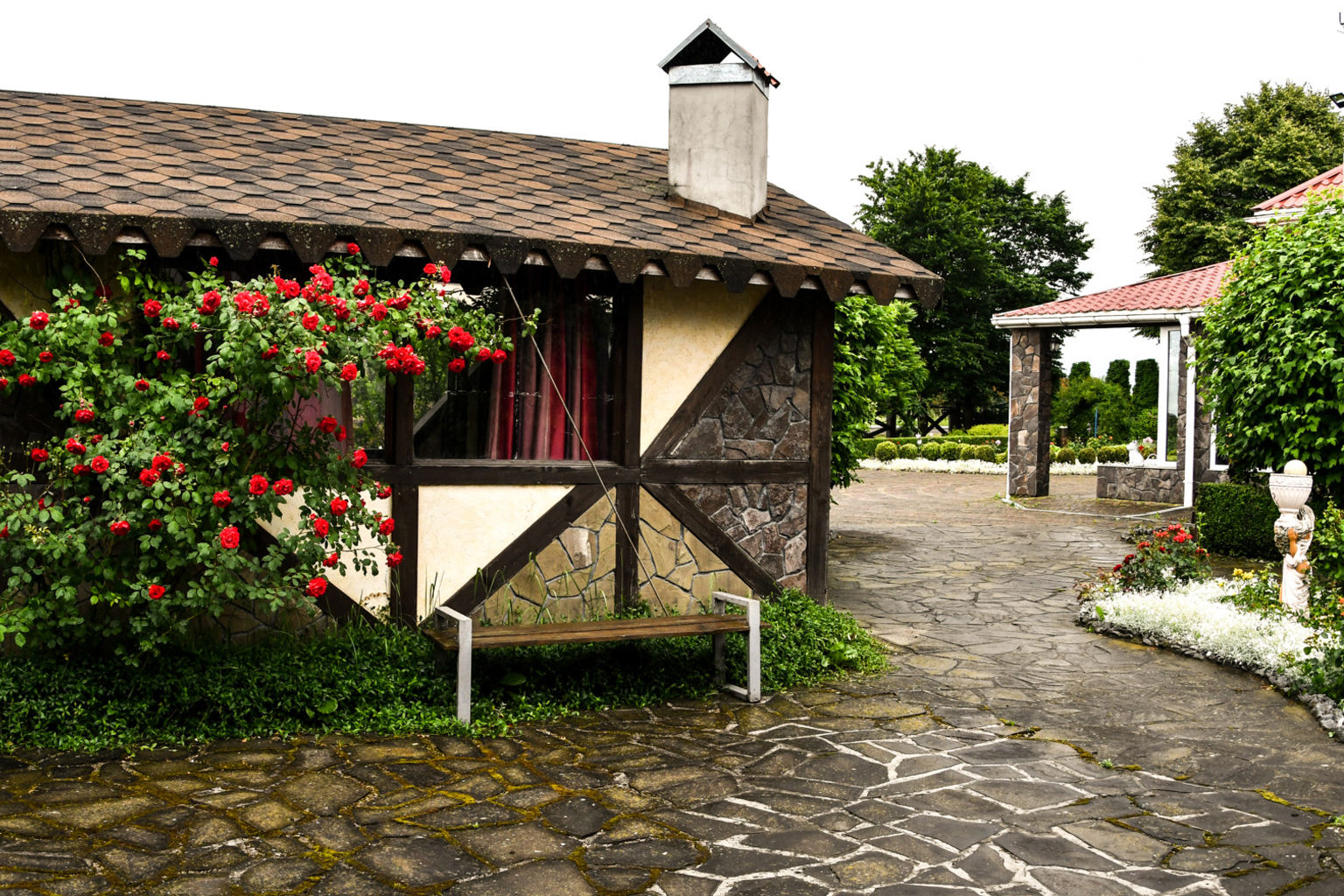 DSC_7781-1536x1011